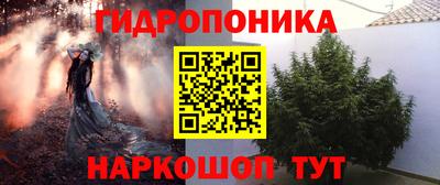 мяу мяу мука Апшеронск