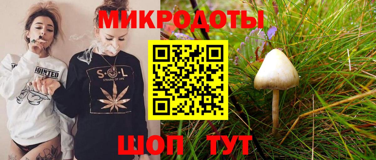 Псилоцибиновые грибы Psilocybine cubensis Ачинск