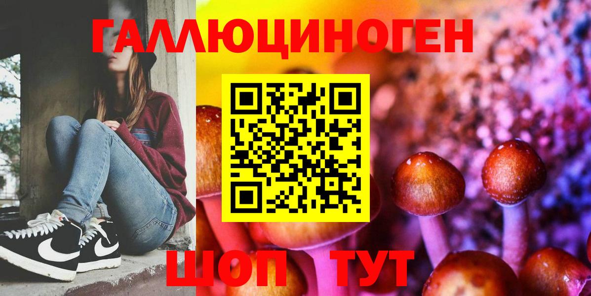 хочу   Псилоцибиновые грибы GOLDEN TEACHER  Вход с VPN  Ачинск 
